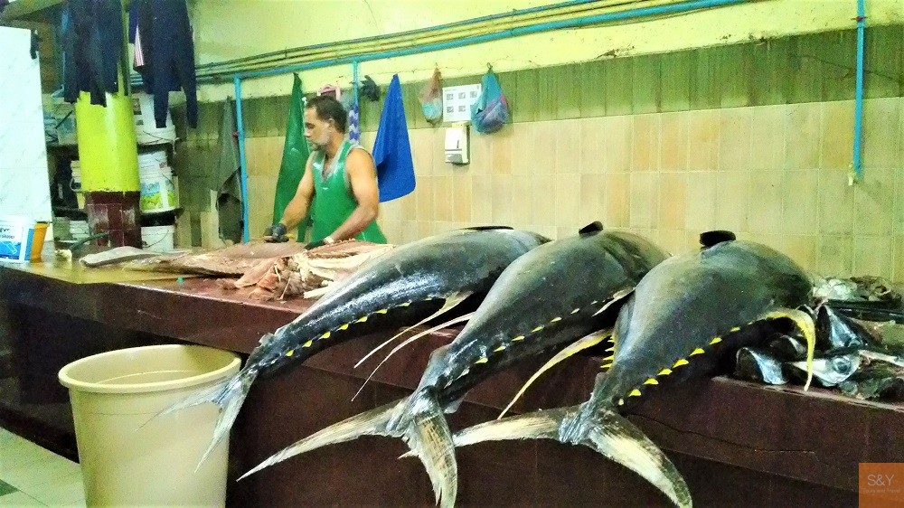 首都マレで必ず立ち寄りたい島民の台所 魚市場とかつお節市場 モルディブ旅情報ブログ